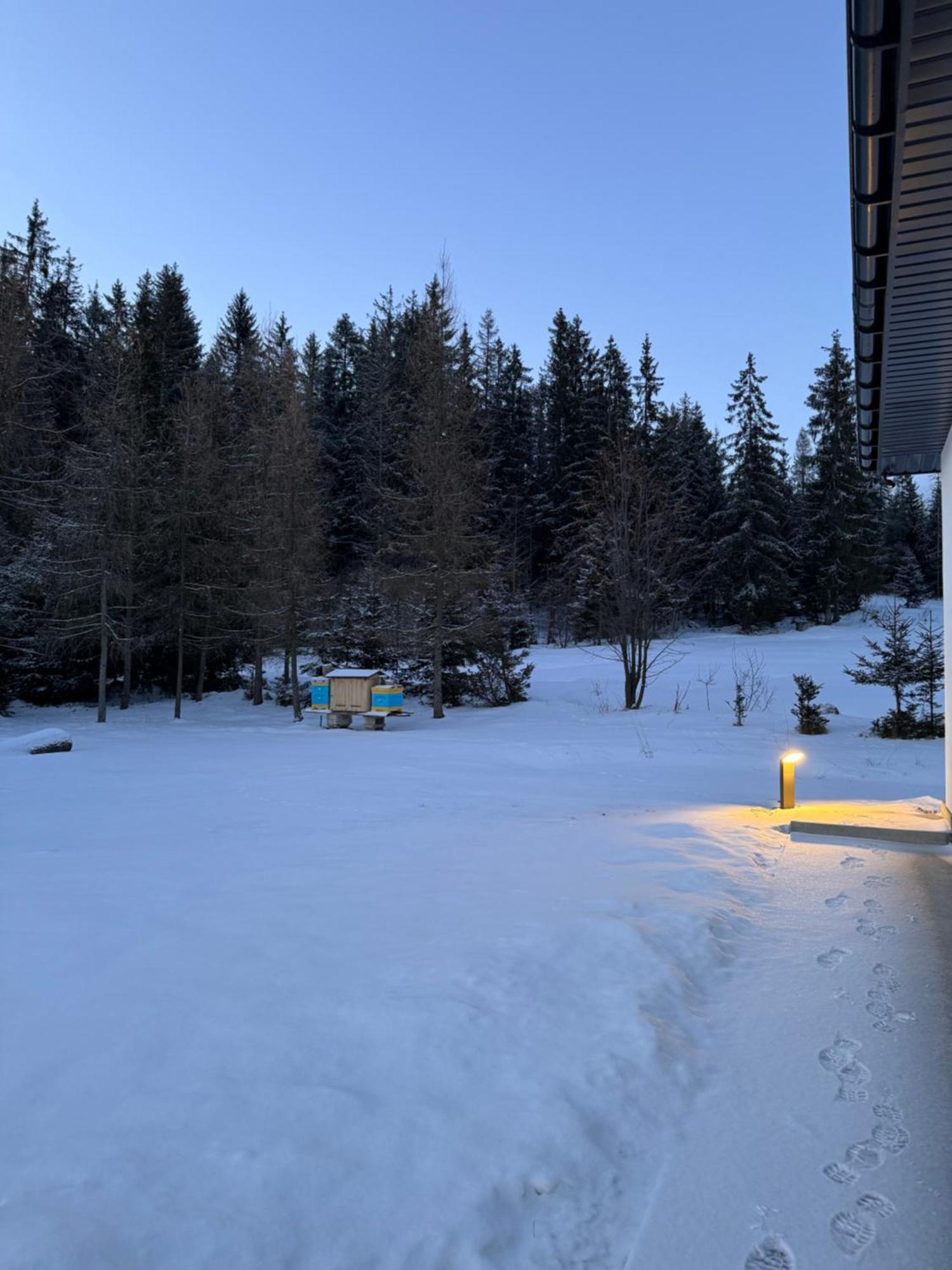 Orawska Knieja 2.0 Lipnica Wielka Exterior foto
